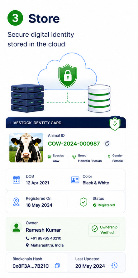 How BoviTrueAI Works — step 3