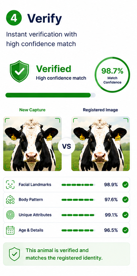How BoviTrueAI Works — step 4